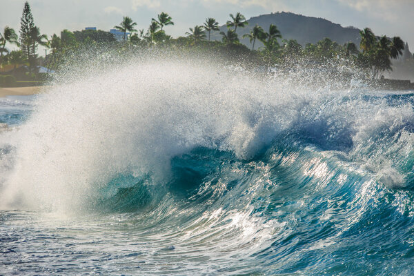 Яркая красочная океанская волна. Серфинг в Shorebreak
