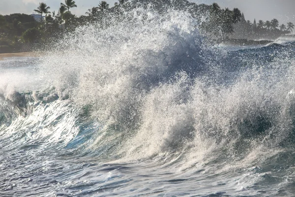 Heldere kleurrijke Ocean Wave. Surfen tropische Splendid — Stockfoto