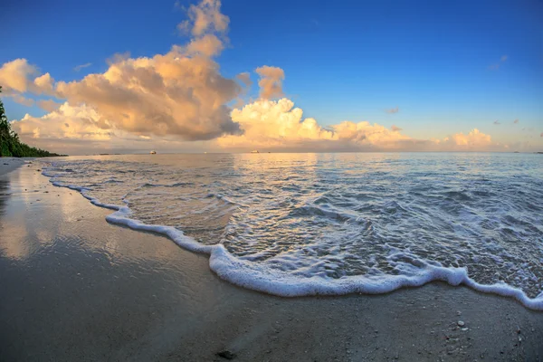 Tropická Maldivijská pláž za východu slunce s pěnovou čárou na písku — Stock fotografie