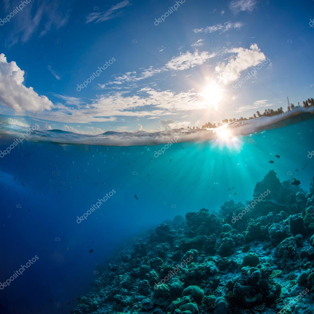 Coral Reef In Open Sea With Water Surface And Sun Rays Sky And Clouds Above The Ocean Stock Photo Image By C Vitaliy Sokol Coral Reef In Open Sea With Water Surface And Sun Rays Sky And Clouds Above The Ocean Stock Photo Image By C Vitaliy Sokol