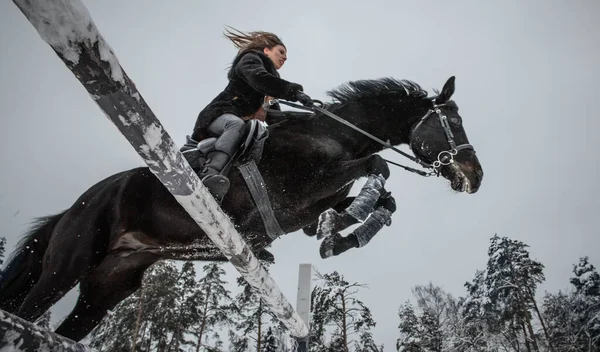 Black Horse Rider Mädchen Springt Durch Stangenhindernis Gegen Verschneiten Wald Stockbild