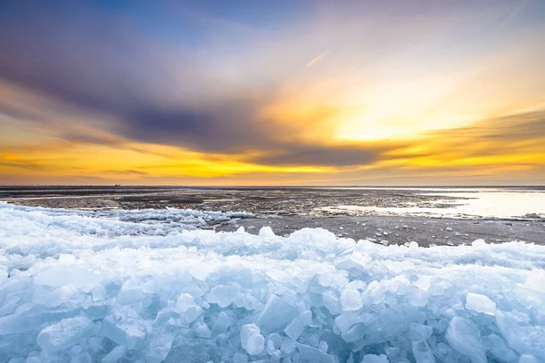 Morceaux de glace dérivante au coucher du soleil, IJsselmeer, Pays-Bas — Photo