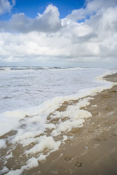 Rüzgar ve dalgalar kumsalda köpük oluşturmak — Stok fotoğraf