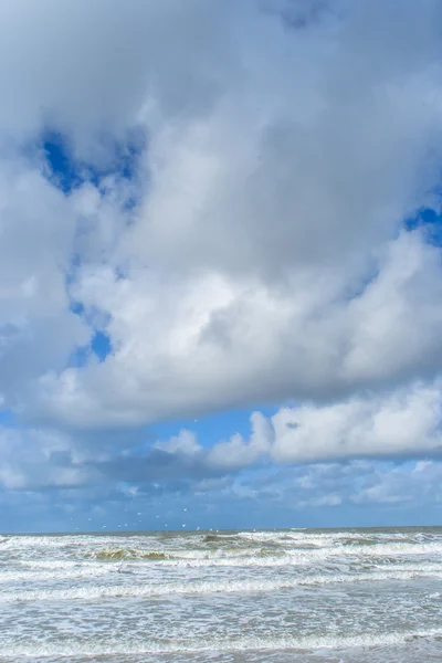 El viento y las olas crean espuma en la playa —  Fotos de Stock