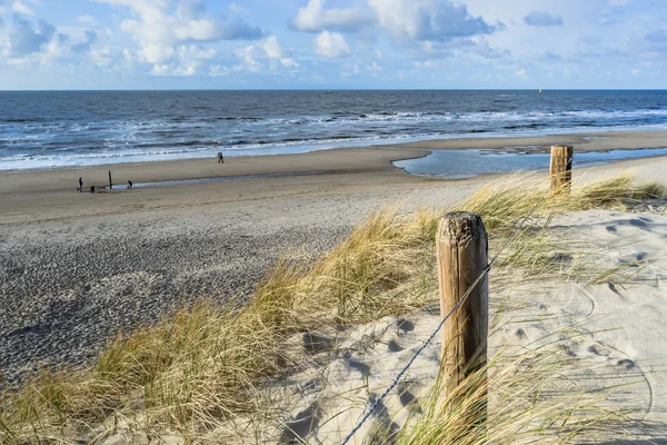 Kijk op het strand van de duinen — Stockfoto