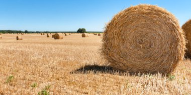 Saman balya, Pays de la Loire, Fransa. Saman balya Fi