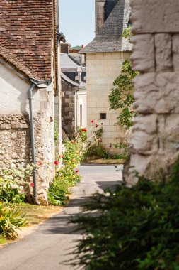 Crissay Sur Manse, Loire Valley köyde sahnede