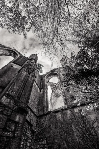 Vieilles ruines d'église et d'abbaye dans le Val de Loire, France , — Photo