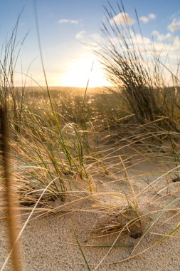 Huzurlu kumsal çimleri ve rahatlatıcı yaz kaçamağı konsepti için gün batımı fotoğrafı.