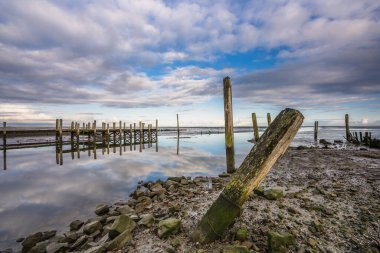 Bu unutulmuş eski liman, Teksas 'taki Cocksdorp köyünün yakınında UNESCO Wadden Denizi' nin ortasında yer almaktadır..