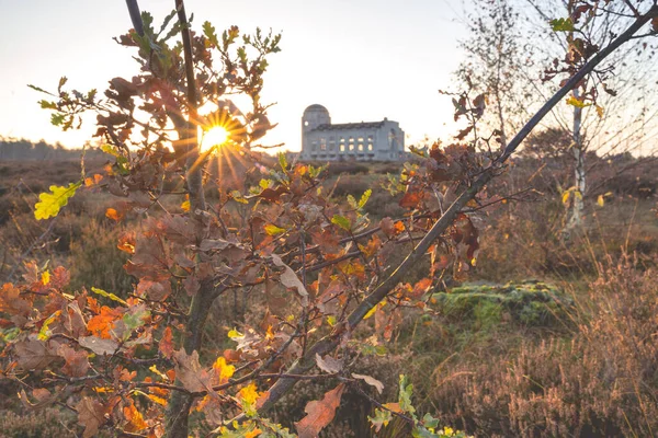 Vecchio Edificio Radio Cemento Abbandonato Nel Paesaggio Naturale Olandese — Foto Stock