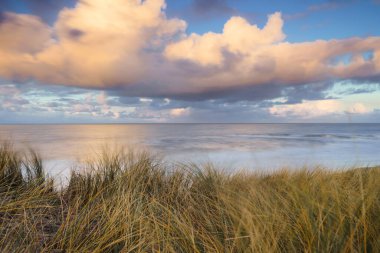 Waving dune grass with cumulus clouds above the North Sea coastline of the Netherlands clipart