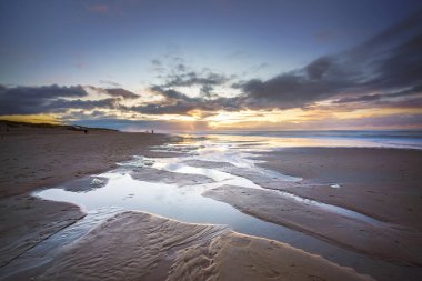 Gün batımında deniz manzarası alçak gelgit sularındaki bulutların yansımasıyla Waddenzee, Texel, Hollanda