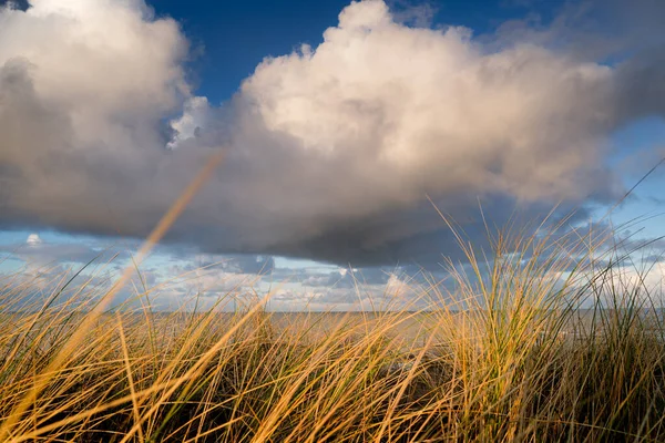 Hollanda Nın Kuzey Denizi Kıyı Şeridi Üzerinde Kümülüs Bulutlarıyla Dalgalanan — Stok fotoğraf