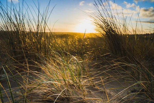 Spokojna Plaża Dunegrass Zachód Słońca Zdjęcie Dla Uspokajającego Relaksu Letni — Zdjęcie stockowe