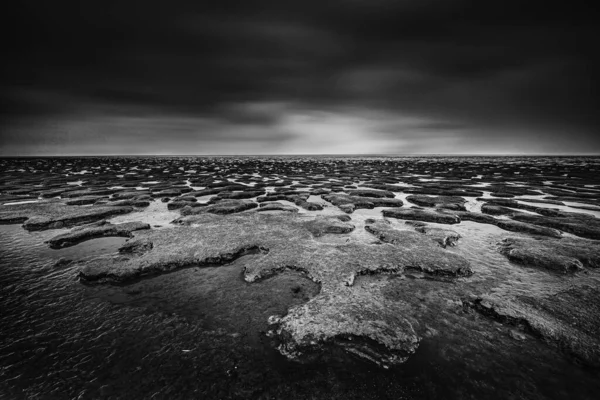 Vista Panoramica Sulle Maree Lungo Riva Dei Paesi Bassi Con — Foto Stock