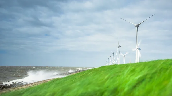 Wind farm along the dike of the noordoostpolder in the Netherlan — Stock Photo, Image