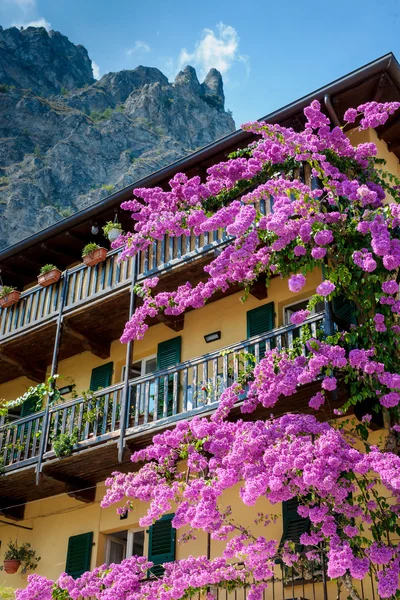 シルミオーネ ガルダ湖イタリアでブーゲンビリアの花, — ストック写真