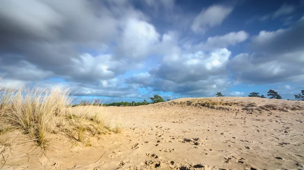 Mozgó felhős ég: egy homokos desszert — Stock Fotó