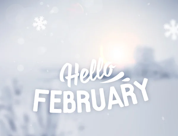 Hola febrero lettering — Vector de stock