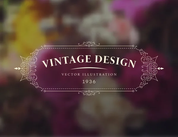 Elegante cornice vintage — Vettoriale Stock