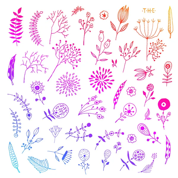 Ensemble d'éléments floraux vintage — Image vectorielle