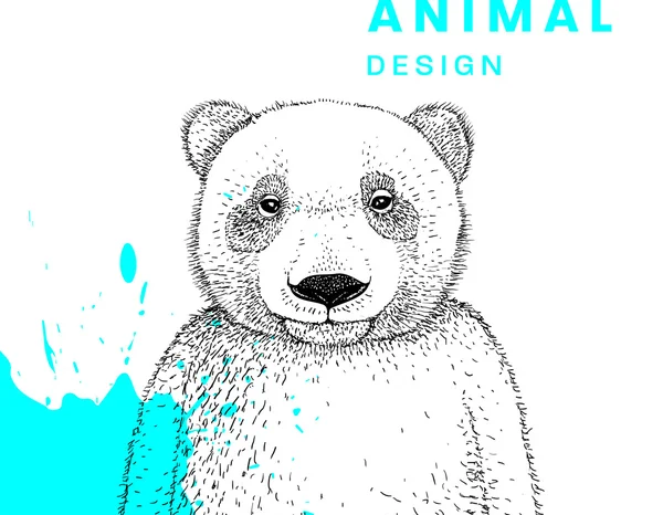 Ours de dessin animé animal — Image vectorielle