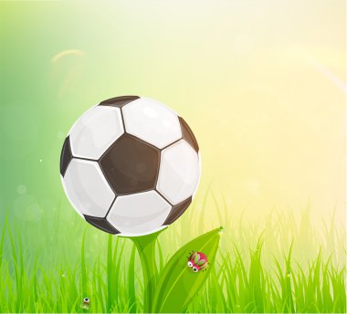 Futbol topu çiçek yeşil sahada
