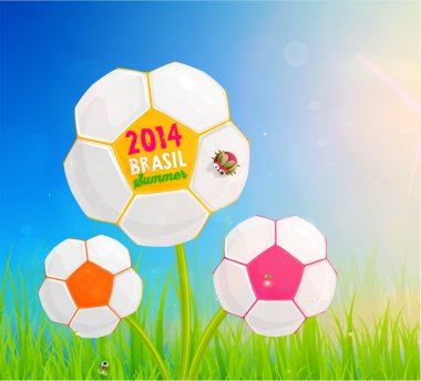 Futbol topu çiçek alanı