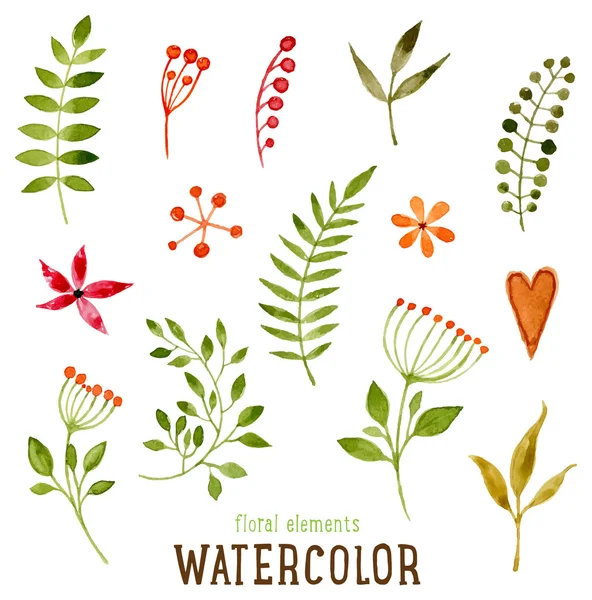 Floral Set with Watercolor Flowers — Stock Vector