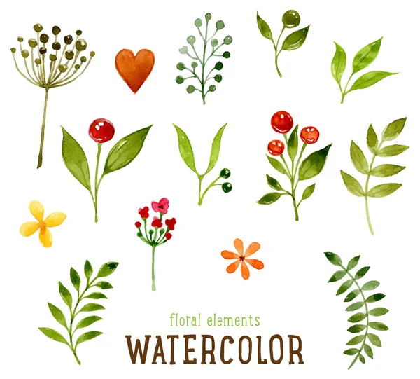 Set floral avec fleurs aquarelle — Image vectorielle