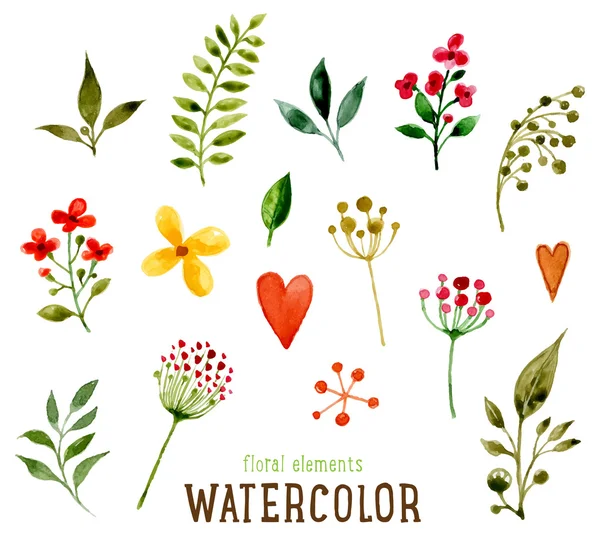 Floral Set met aquarel bloemen — Stockvector