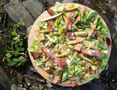Fresh Ceaser salad in garden clipart