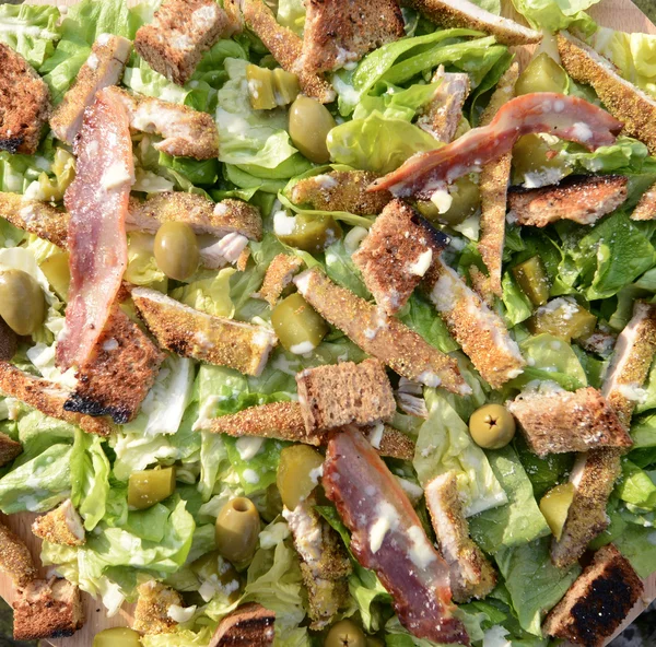 Taze yiğit salata — Stok fotoğraf