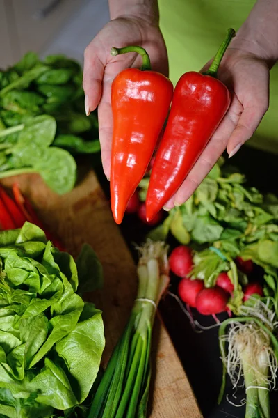 Rábano pimiento rojo fresco en la mano de la mujer — Foto de Stock