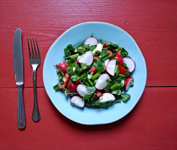 Taze salata kırmızı masada — Stok fotoğraf