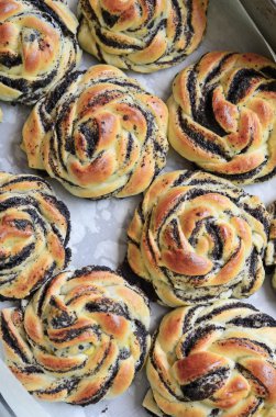 Haşhaş tohumu buns fırında