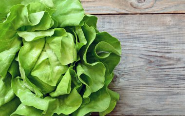 ahşap zemin üzerine yeşil salata