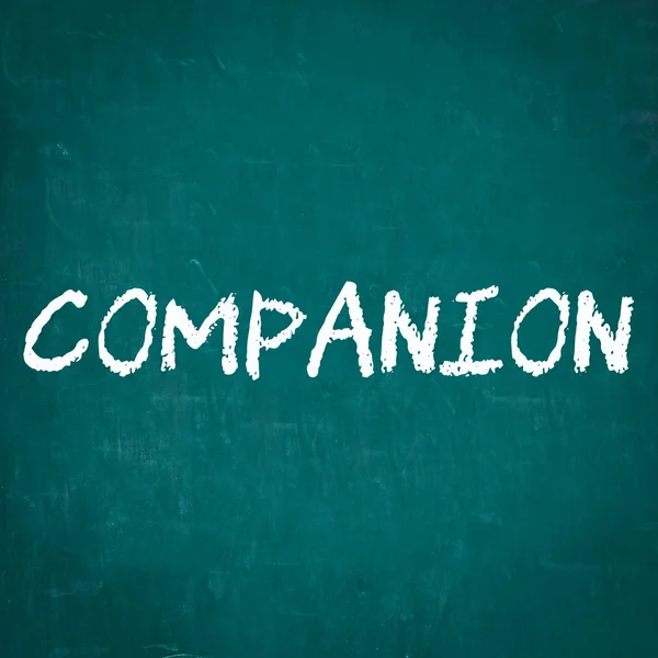 COMPANION written on chalkboard — Stock Photo, Image