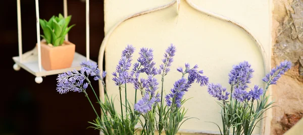 Decoratieve lavendel en andere bloemen in pot — Stockfoto