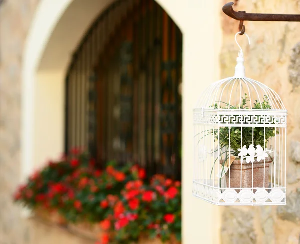 Dekorativer weißer Käfig für Vögel mit Blumen im Inneren — Stockfoto