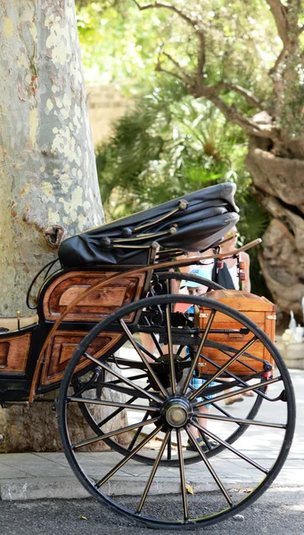 Schöne Nahaufnahme der Kutsche in Palma de Mallorca. — Stockfoto