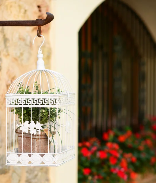 Schöner weißer Käfig mit Blumen in der Altstadt — Stockfoto