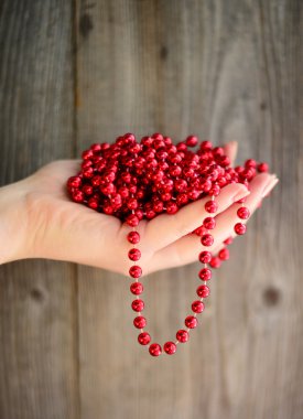 Noel süs kadın elinde