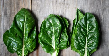 Ahşap artalan üzerinde ham mangold