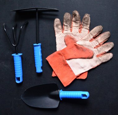 Yazı tahtası üzerinde Bahçe aletleri