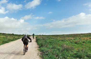 Bisikletçiler İsrail 'deki yeşil alan boyunca yol boyunca gidiyorlar.