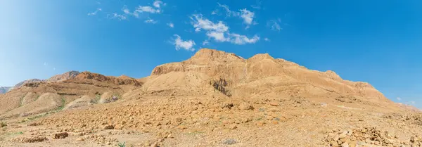 Panorama Montagne Dans Désert Néguev Israël — Photo