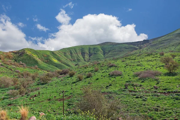 Hermoso Paisaje Primaveral Los Altos Del Golán Israel Imágenes de stock libres de derechos