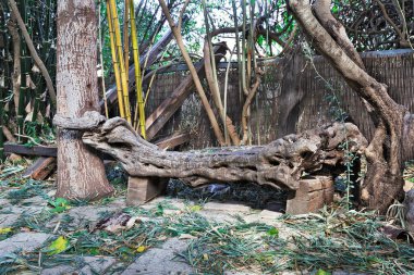 kütüklerden yapılmış eski bank